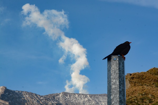 Foto - Cumhurbaşkanı talimat verdi! 25 bin kişi ölmüştü o bölge boşaltılıyor