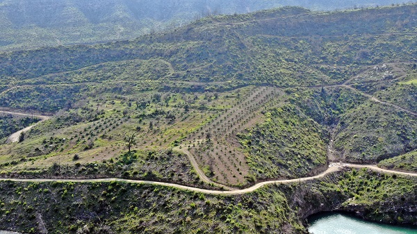 Foto - Cumhuriyet tarihinin en büyük yangını yaşanmıştı! Yangının izleri 2 yılda böyle silindi!