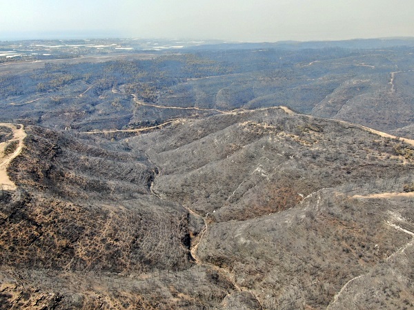 Foto - Cumhuriyet tarihinin en büyük yangını yaşanmıştı! Yangının izleri 2 yılda böyle silindi!