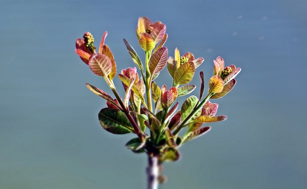 Foto - Cumhuriyet tarihinin en büyük yangını yaşanmıştı! Yangının izleri 2 yılda böyle silindi!
