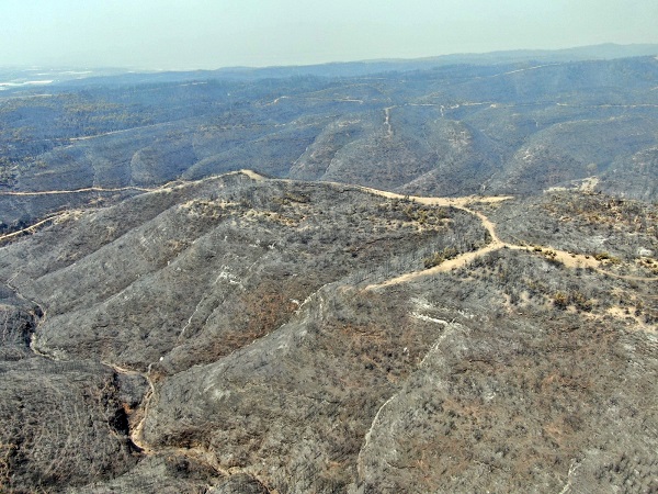 Foto - Cumhuriyet tarihinin en büyük yangını yaşanmıştı! Yangının izleri 2 yılda böyle silindi!