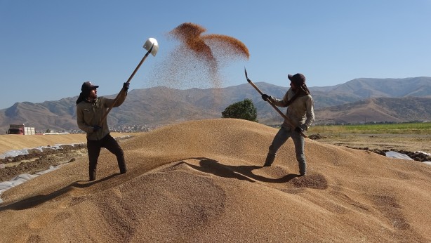 Foto - Cumhuriyet tarihinin rekoru! Depolar tıka basa dolup taştı