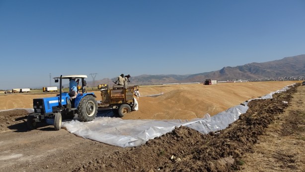 Foto - Cumhuriyet tarihinin rekoru! Depolar tıka basa dolup taştı