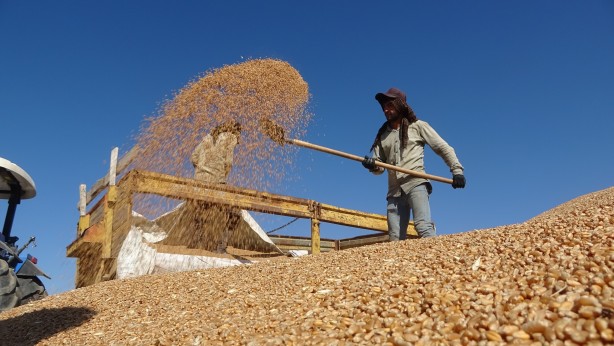 Foto - Cumhuriyet tarihinin rekoru! Depolar tıka basa dolup taştı