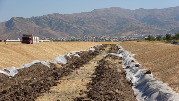Foto - Cumhuriyet tarihinin rekoru! Depolar tıka basa dolup taştı