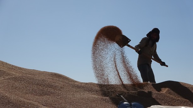 Foto - Cumhuriyet tarihinin rekoru! Depolar tıka basa dolup taştı
