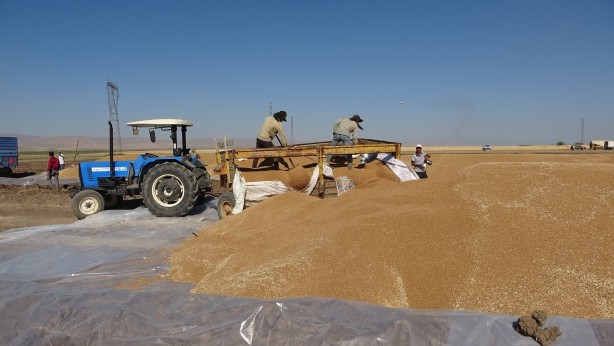 Foto - Cumhuriyet tarihinin rekoru! Depolar tıka basa dolup taştı