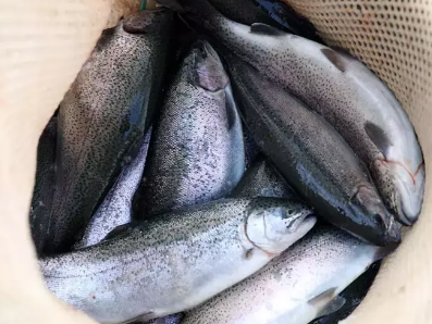 Foto - Cumhuriyet tarihinin rekoru kırıldı! Türkiye'den 103 ülkeye 312,2 milyon dolarlık ihracat…