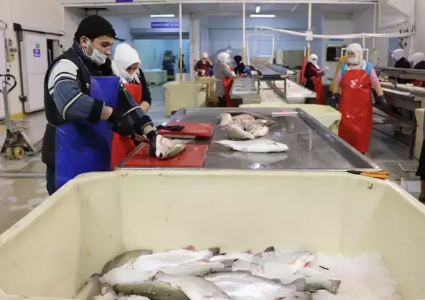 Foto - Cumhuriyet tarihinin rekoru kırıldı! Türkiye'den 103 ülkeye 312,2 milyon dolarlık ihracat…