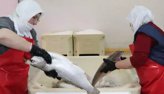 Cumhuriyet tarihinin rekoru kırıldı! Türkiye'den 103 ülkeye 312,2 milyon dolarlık ihracat…