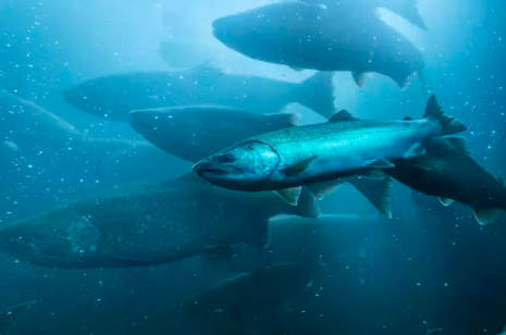 Foto - Cumhuriyet tarihinin rekoru kırıldı! Türkiye'den 103 ülkeye 312,2 milyon dolarlık ihracat…