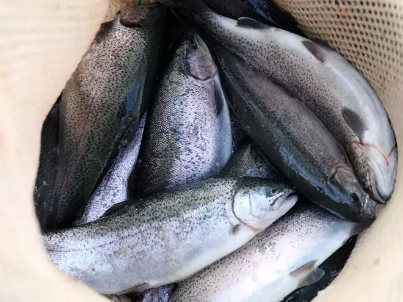 Foto - Cumhuriyet tarihinin rekoru kırıldı! Türkiye'den 103 ülkeye 312,2 milyon dolarlık ihracat…