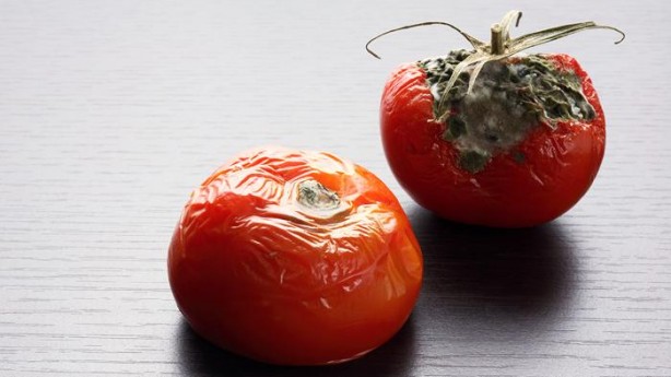 Foto - Çürük domates nasıl değerlendirilir? İşte değerlendirmenin yöntemi…