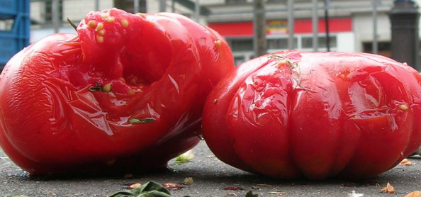 Foto - Çürük domateslerin ne işe yaradığını duyan bir daha çöpe atmıyor! Herkes yapmaz demişti! Olur mu demeyin!