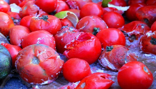 Foto - Çürük domateslerin ne işe yaradığını duyan bir daha çöpe atmıyor! Herkes yapmaz demişti! Olur mu demeyin!