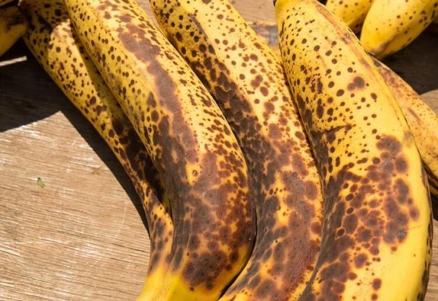Foto - Çürük sandığınız kararmış muzlar tam bir şifa kaynağı