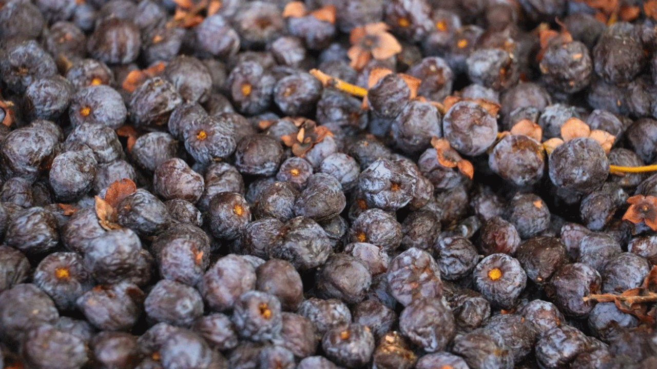 Foto - Çürümeye başlayınca tüketiyorlar: Faydası saymakla bitmiyor!