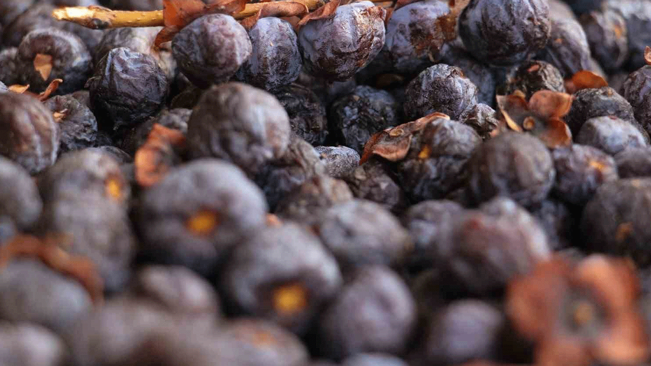 Foto - Çürümeye başlayınca tüketiyorlar: Faydası saymakla bitmiyor!