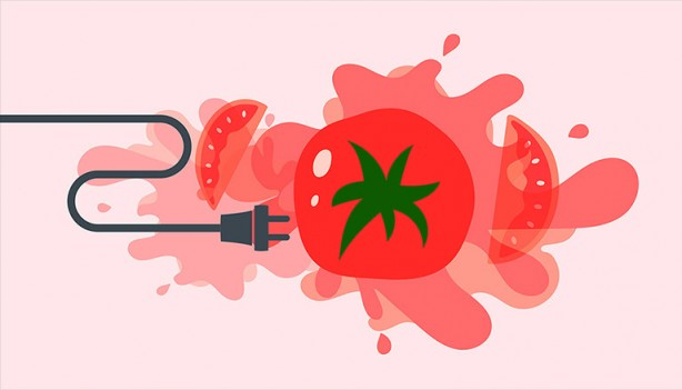 Foto - Çürüyen domatesleri sakın atmayın! Neden mi? İşte cevabı...