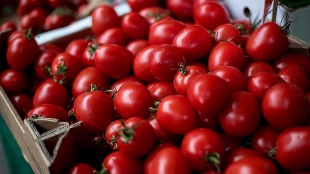 Foto - Çürüyen domateslerinizi sakın çöpe atmayın! Bu etkisini ilk kez duyacaksınız