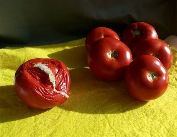 Çürüyen domateslerinizi sakın çöpe atmayın! Bu etkisini ilk kez duyacaksınız