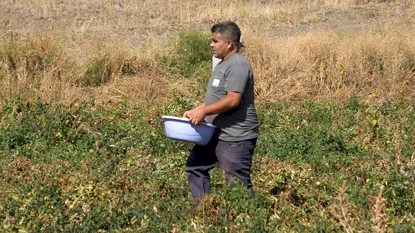 Foto - Çuvalını kapan tarlaya koştu! Belediyeden anons yaptırdı her şeyi bedavadan dağıttı