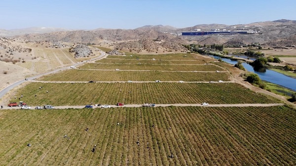 Foto - Çuvalını kapan tarlaya koştu! Belediyeden anons yaptırdı her şeyi bedavadan dağıttı