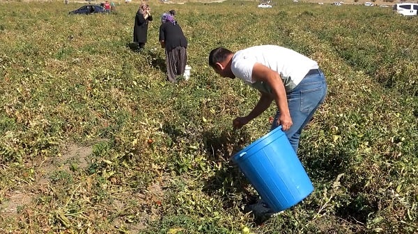 Foto - Çuvalını kapan tarlaya koştu! Belediyeden anons yaptırdı her şeyi bedavadan dağıttı