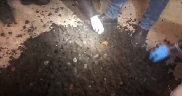 Foto - Çuvallarından içinden çıkanlar şoke etti!