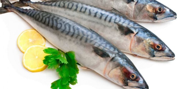 Foto - D vitamini nelerde var?