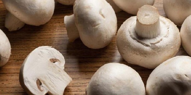 Foto - D vitamini nelerde var?