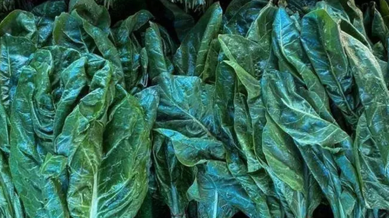 Foto - D vitamini zengini, demir eksikliğini önlüyor! Demeti 30 lira: Yiyen şifalı günlerle yaşıyor...