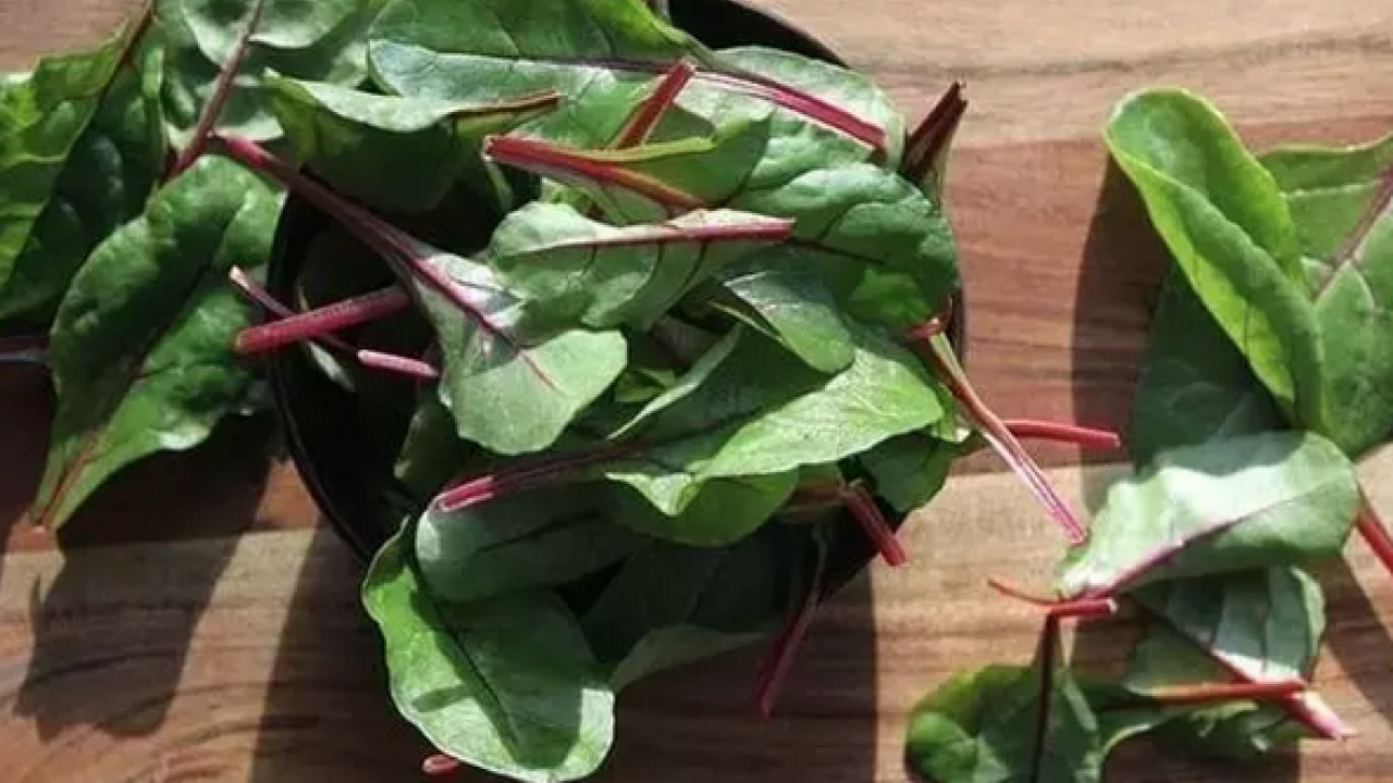 Foto - D vitamini zengini, demir eksikliğini önlüyor! Demeti 30 lira: Yiyen şifalı günlerle yaşıyor...