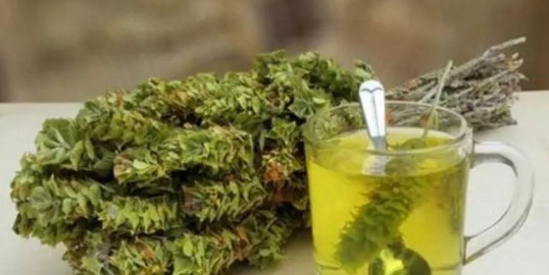 Foto - Dağ çayının faydaları nelerdir? Neye iyi gelir? Acil olarak uygulayın çünkü çayın faydası say say bitmiyor