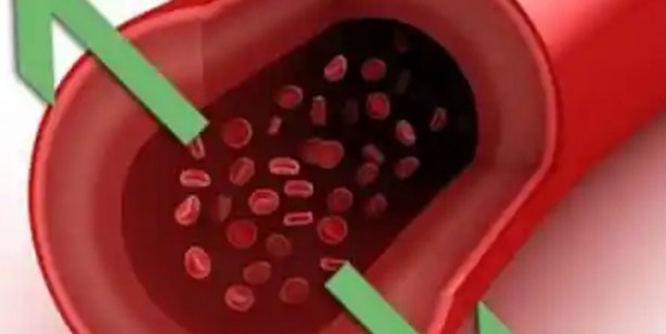 Foto - Dağ çayının faydaları nelerdir? Neye iyi gelir? Acil olarak uygulayın çünkü çayın faydası say say bitmiyor