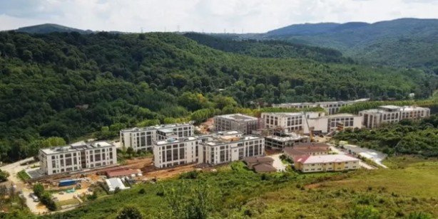 Foto - Dağ çayının faydaları nelerdir? Neye iyi gelir? Acil olarak uygulayın çünkü çayın faydası say say bitmiyor