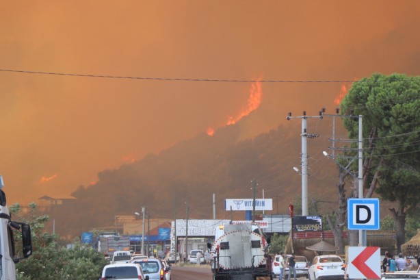 Foto - Dağ taş yandı, Türk bayrağı alevlerden korundu