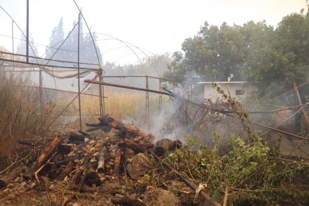 Dağ taş yandı, Türk bayrağı alevlerden korundu