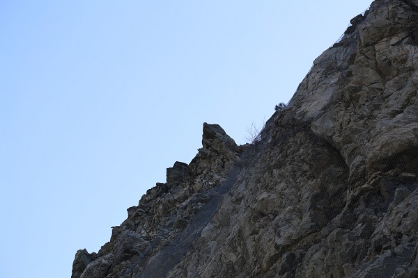 Foto - Dağcılar çalışma başlattı | Artvin'de neler oluyor?