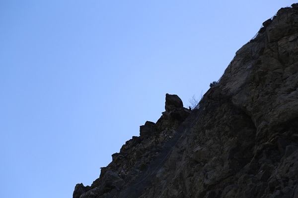 Foto - Dağcılar çalışma başlattı | Artvin'de neler oluyor?