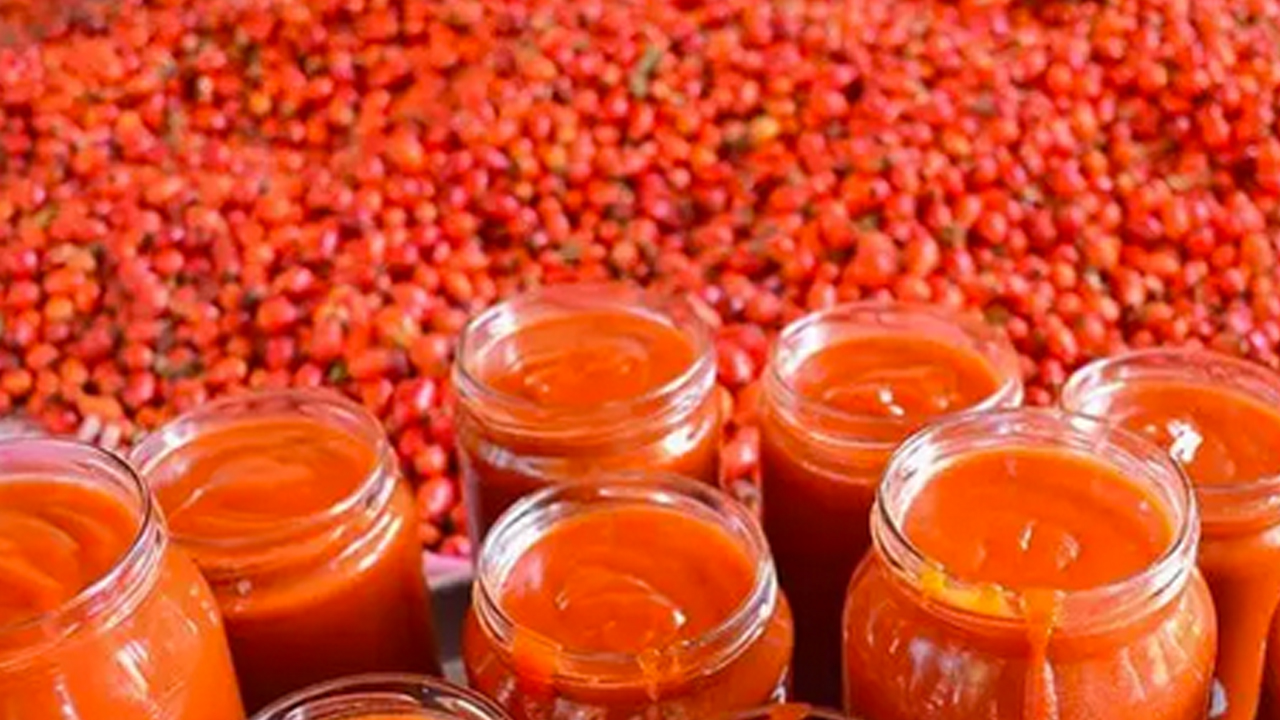 Foto - Dağda kendiliğinden yetişiyor! İsteyen yapabiliyor… Doğal kolesterol ilacı, şekeri terazi gibi dengeliyor