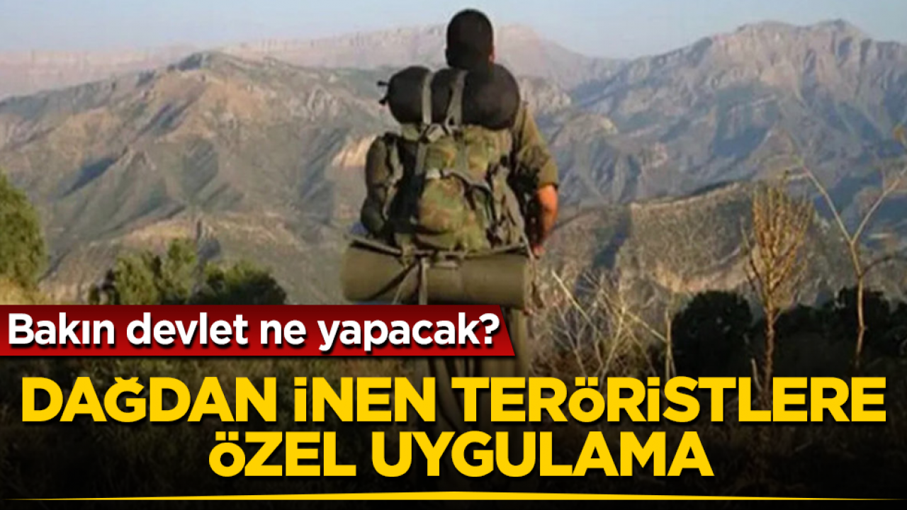 Dağdan inen teröristlere özel uygulama! Bakın devlet ne yapacak?
