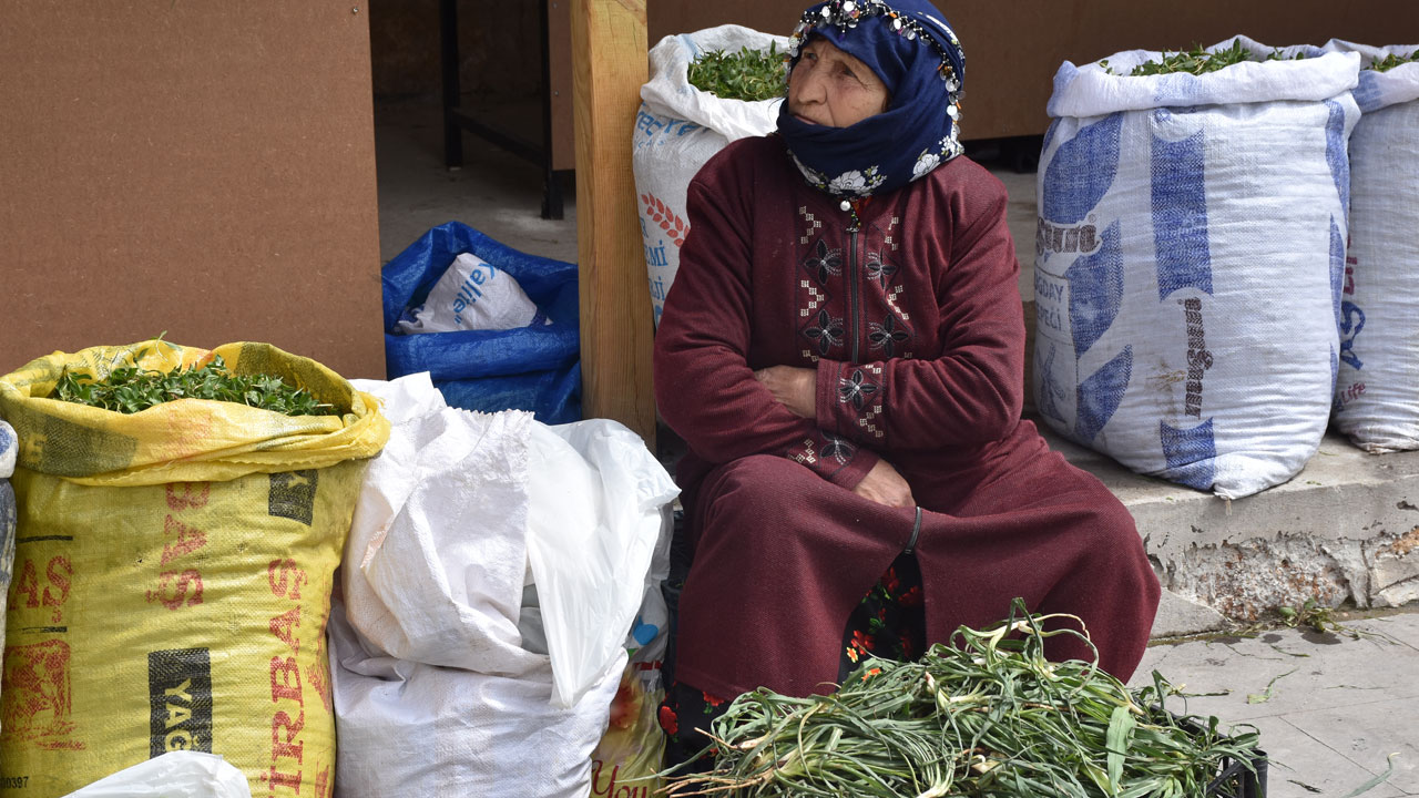 Foto - Dağdan sofraya emekle geliyor! Sezonu başladı kilosu 150 TL
