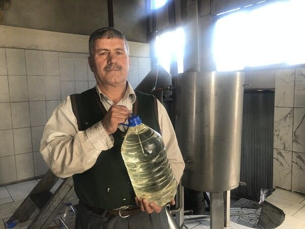 Foto - Dağdan toplayıp litresini 2 bin liraya satıyorlar