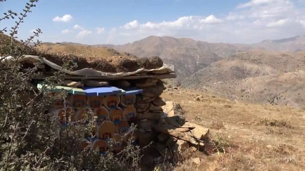 Foto - Dağın eteklerinde üretiyor! Kilosu 2 bin 500 TL! Tam bir şifa deposu! Avrupa'ya bile ihraç ediyor