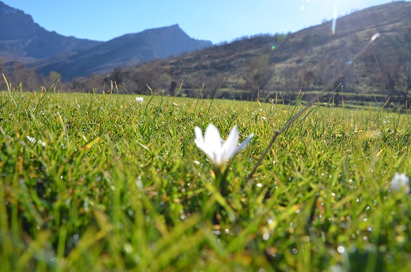 Dağlar beyaza büründü alçak kesimler çiçek açtı