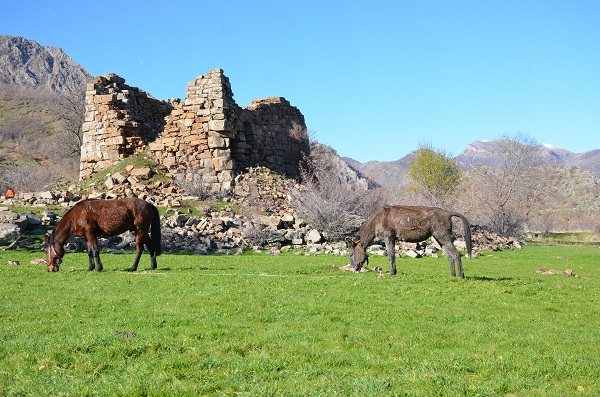 Foto - Dağlar beyaza büründü alçak kesimler çiçek açtı