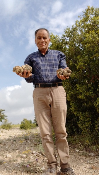 Foto - Dağlar bu mantarla dolup taşıyor! Kilosu tam 400 euro 