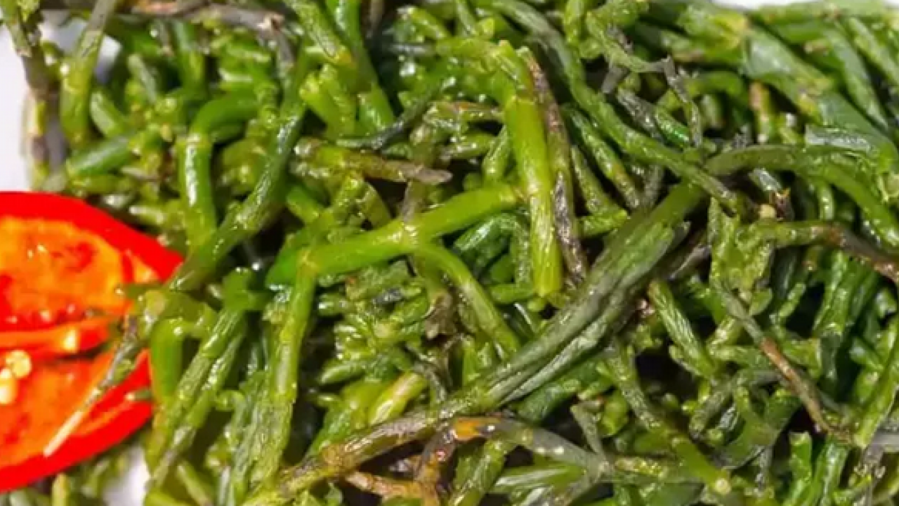 Foto - Dağlarda kendiliğinden yetişiyor! Her birinin şifası birbirinden ayrı, C, B1, B2, A bütün vitaminleri içeriyor