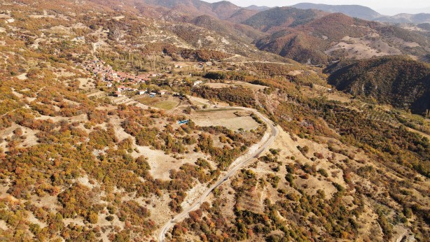 Foto - Dağlarda yetişiyor! Köylüye bir anda gelir kapısı oldu